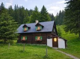 Almhütte am Steirischen Seeberg