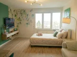 Le Emy - Metz - Lumineux - Wi-Fi - Fibre - Parking