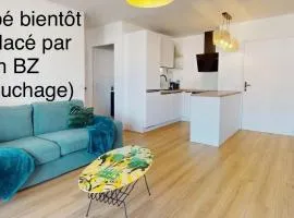 Appartement Centre Anglet avec Parking