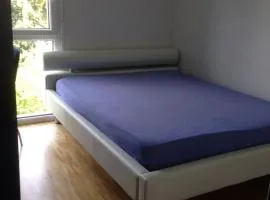 Room for rent in Daniel-Ihly 24