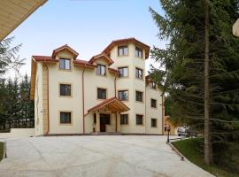 Pensiunea Floarea de Colt, hotel v mestu Nucşoara