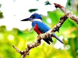 Cabañas y Senderos El Triunfo