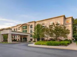 Comfort Inn & Suites Lake George