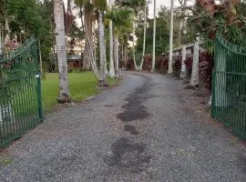 Emerald Tropical Palms B & B