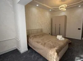 Cozy Apartment in Bishkek