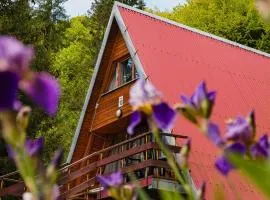 Perełka Bieszczady Domki