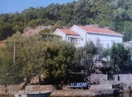 Apartment Bianca Mljet mit Meerblick