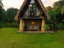 Mango Liyadda Villa