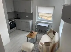 Mini HOUSE near Green Lakes