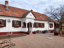 Noble'S Vendégház, Hotel in Nemesnép