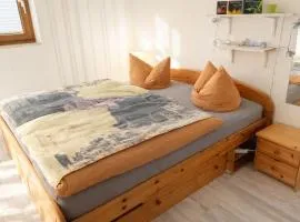 Ferienwohnung Dresden Pillnitz am Weinberg