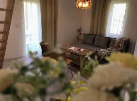 UtopiaMS Guest House