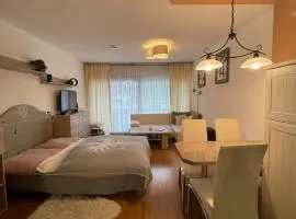 Apartment Hartkaiser