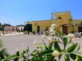 TeNuTa Li Frasulli
