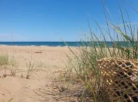 Plume Indigo Appartment en résidence, piscine, parking