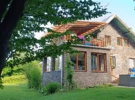 Darázshegyi Panzió és Faházak - Panzió épület