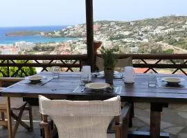 Zenios Andros-Cycladic house overlooking Batsi bay