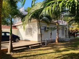 Aamla Villa-Garden Jacuzzi-open cinema-BBQ party