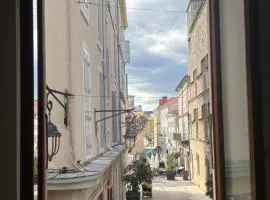 L'Orelia - confortable T2 hyper centre