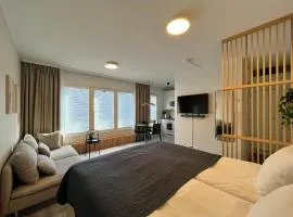 Cozy City Apartment with Parking space and WiFi