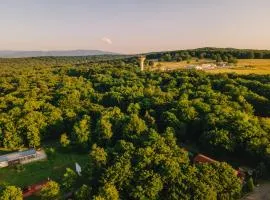 Arsenal Park Transilvania