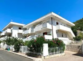 Hospes Stella Marina