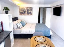 Abby Apartment Koper