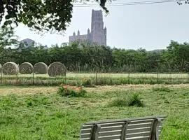 Gite à la campagne avec vue sur la Cathédrale - ALBI