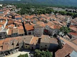 T2 plein centre village d'Argelès