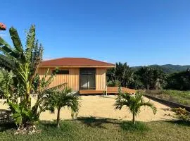 Ishigaki City - Cottage - Vacation STAY 46978v