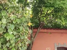 Mi Casa Rio Garagem Wi-Fi Grátis Próximo Praia Barra