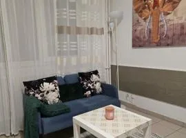 Studio 110 pres Basel Airport