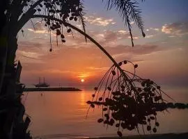 SUNNY COAST