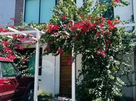 El Jardín Escondido Ixtapa