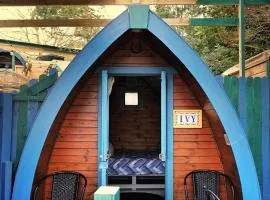 Glamping in the 2nd Field