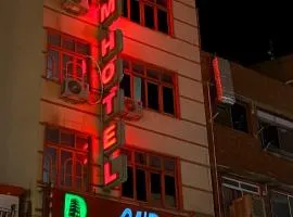 Dream Hotel