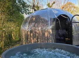 Les nuits de Cassiopee