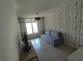 Appartement T2 à l'Ayguade