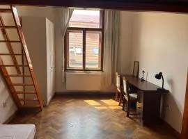Central cozy rooms Soukenická S36
