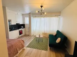 Cozy Studio Near Roihuvuori Japanese Garden