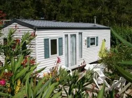 Mobil-home confortable avec terrasse pour 4 personnes - API-1-52-831