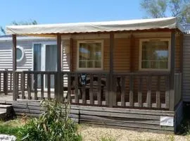 Mobil-home confortable avec terrasse - 6 pers. - API-1-52-2168