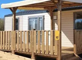 Mobil home accessible, terrasse - 6 pers. - API-1-52-2153