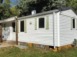 Mobil home avec terrasse - 4 pers. - API-1-52-2160