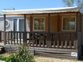 Mobil home spacieux - 6 pers. - API-1-52-2171