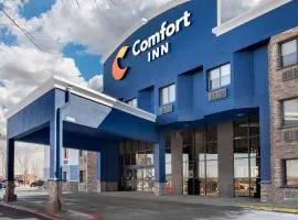 Comfort Inn Eagan Minneapolis - St Paul South