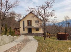 Casa Fluțar, hotel u gradu Mojsej