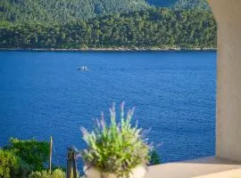 Holiday Home Island View - Tudorovica