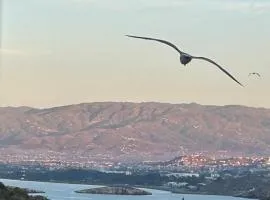 Carabonita