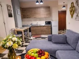 Shkoder Global Guest city center